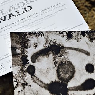 VLADISLAV MIRVALD